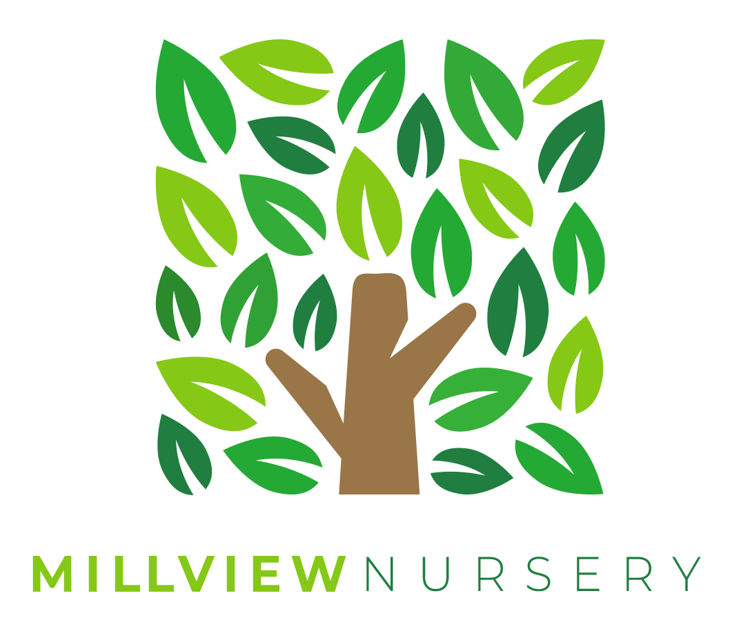 Milview Nursery final